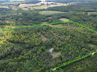 11845 E 24th St, Reed City, MI 49677