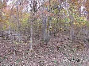 2nd image of 0 Long Run Rd