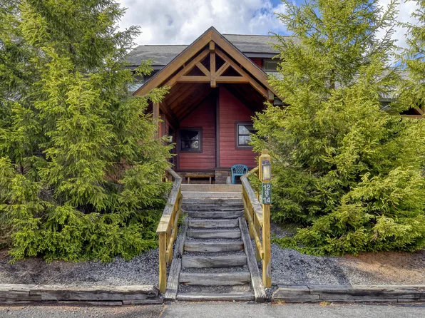 93 Treetop St, Slatyfork, WV 26291