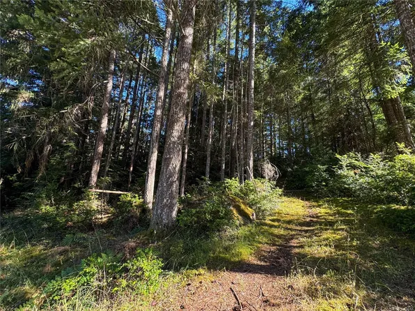 LOT 2 Wild Cherry Ter, Nanaimo, BC V0R 1X5