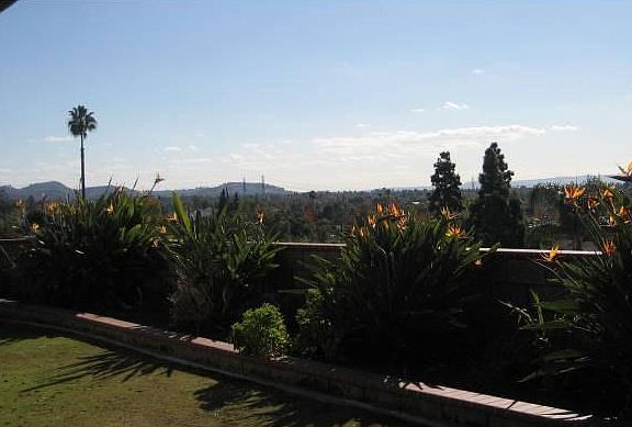 old photo showing view