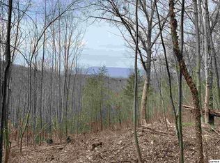 46 Eagle Mountain Rd LOT 4&6, Newport, TN 37821