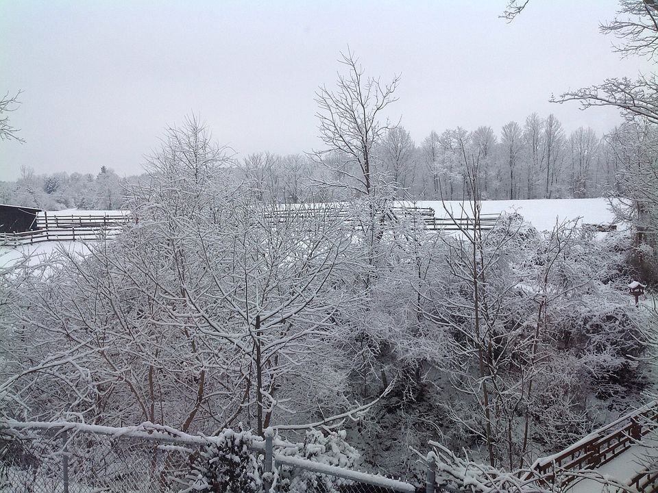 1st image of 27464 Hubbard Road #Land Only