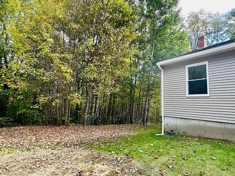 Left front Yard from Driveway