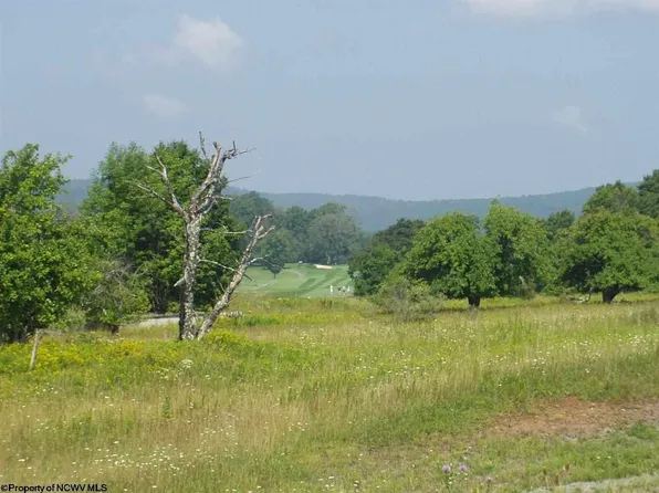 7 Canaan Vistas Cir, Davis, WV 26260