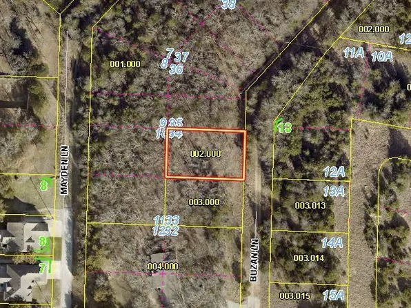 Lot 34 Buzan Lane, Indian Point, MO 65616