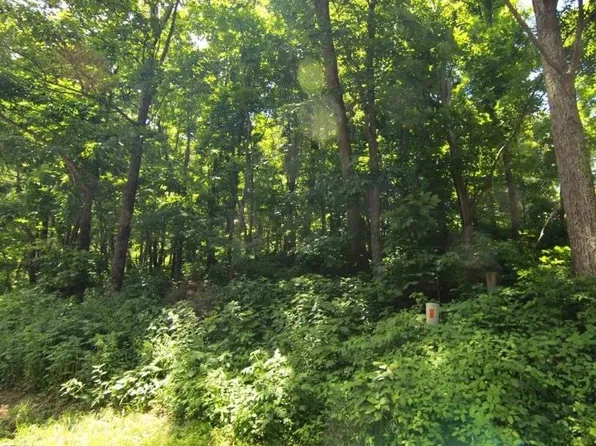 270 Timber Camp Dr Lot 46, Roseland, VA 22967
