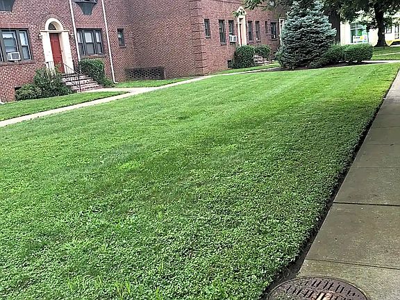 2nd image of 660 Tulip Ave