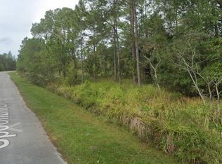 274 Spoonbill Dr, Poinciana, FL 34759