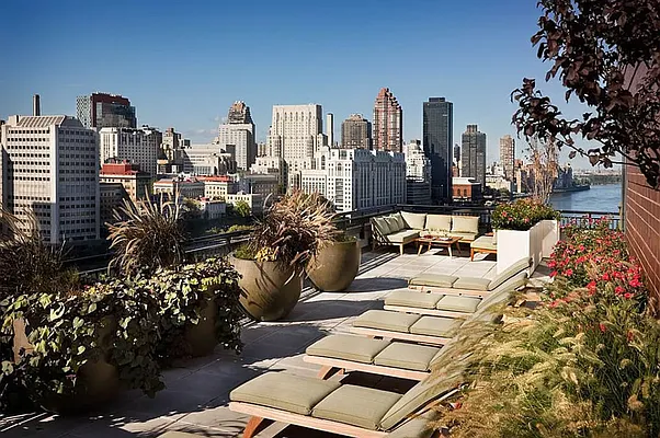 Rented by Corcoran | media 8