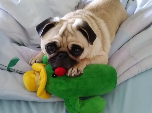 7002 Blvd East image 31 of 31