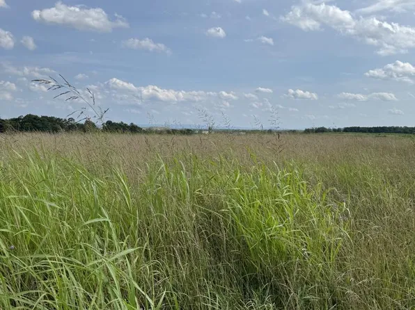 LOT 2 Glebe Dr, Clear Brook, VA 22624