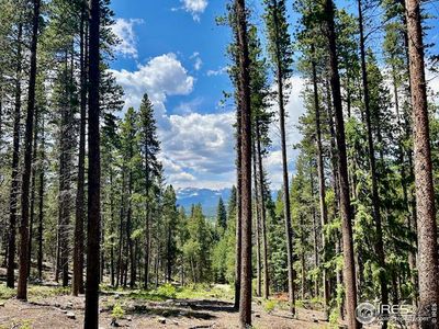0 Sun Flower Dr, Black Hawk, CO, 80422