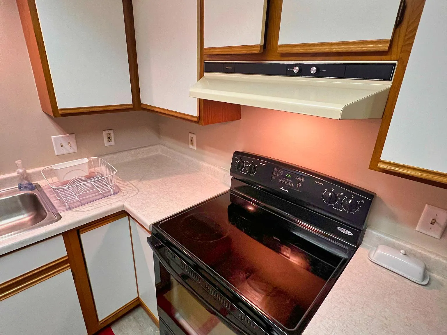 1 bed, $1,000 — Photo 2