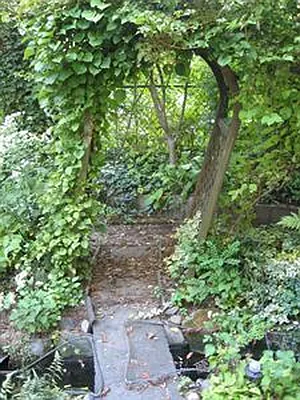 Rented by Douglas Elliman | media 2