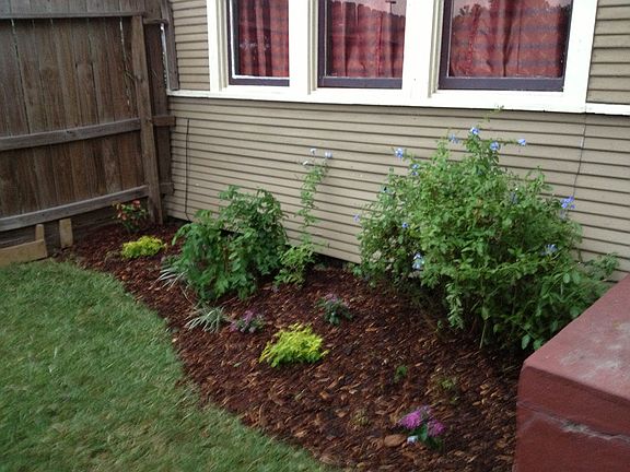 Flower beds around the house