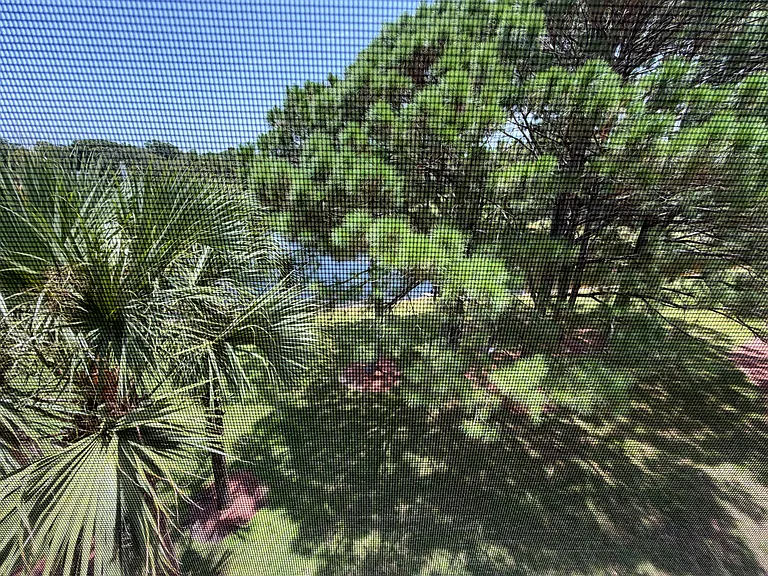 8815 Dunes Ct #7308 — Photo 52