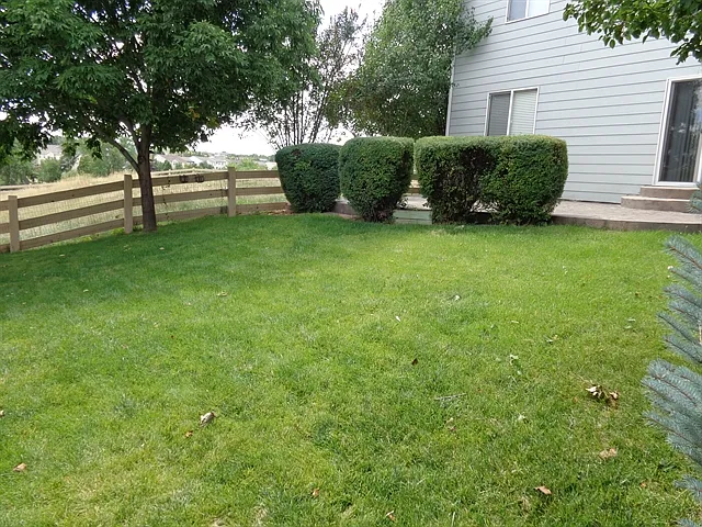 10910 Steele St — Photo 17