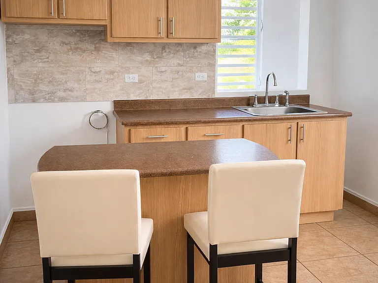 Fully renovated kitchen with modern cabinetry and stylish finishes.
