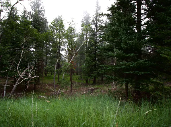 12052 Little Elk Rd, Deadwood, SD 57732