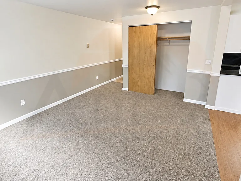 Bright studio living area with neutral finishes, clean carpeting, and a spacious closet for added storage.