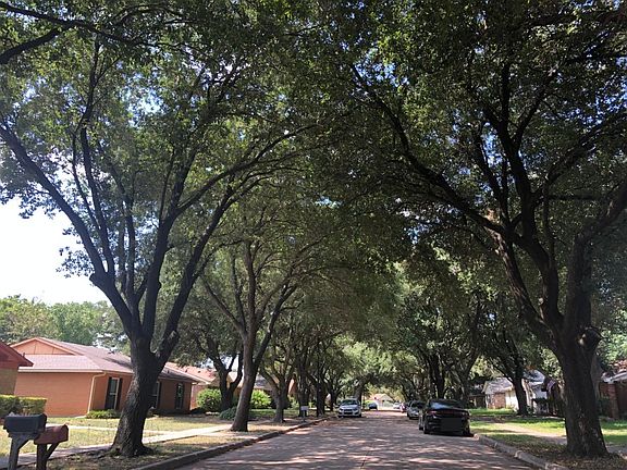 5th image of 2702 Branch Oaks Dr