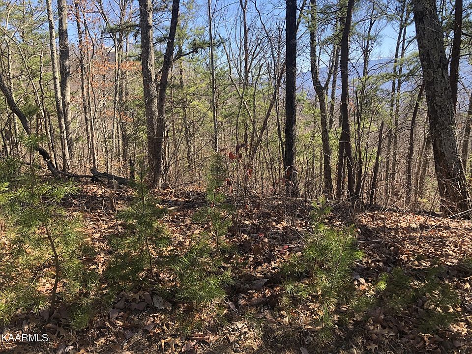 1st image of 2 Chestnut Ridge Ct Lot 2