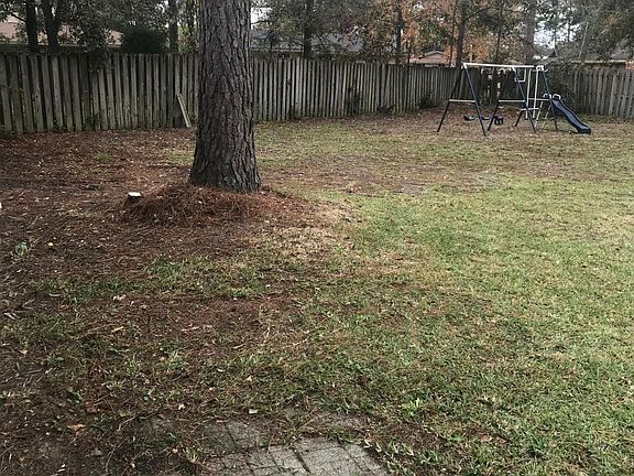 back yard