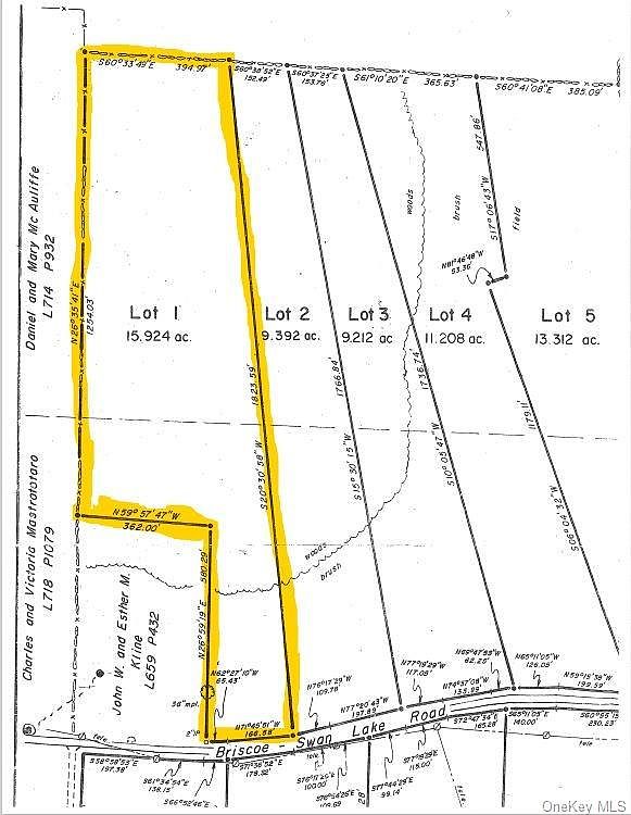 Lot 1 Briscoe Road, Swan Lake, NY 12783 MLS H6284597 Zillow