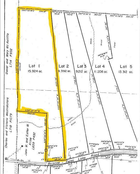Lot 1 Briscoe Road, Swan Lake, NY 12783 MLS H6284597 Zillow