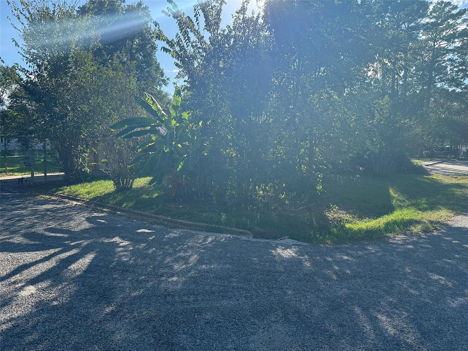 3 bed, 2.0 bath, 1344 sqft, $1,500 — Photo 4
