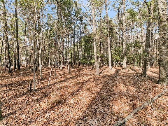 5th image of 3786 Saint Ellens Dr