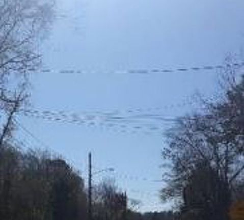 Exterior Neighborhood (street photo)