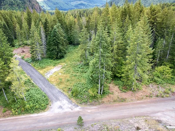 1 Lahar Lane, Cougar, WA 98616