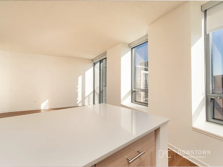 430 W Ohio St #4603 — Photo 3