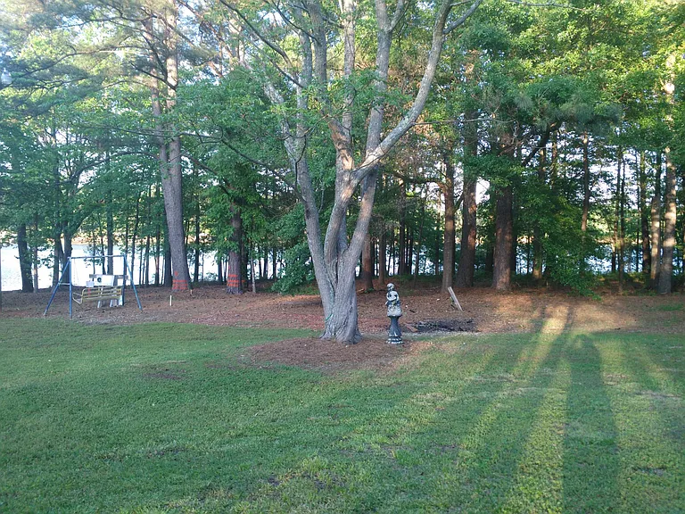 Back yard