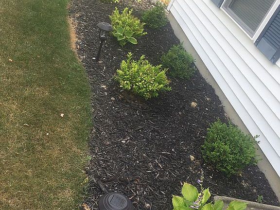 Updated landscaping 2020