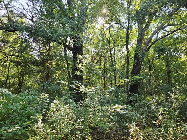 347 Copper Branch Rd, Whitesboro, TX 76273