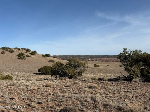 197 River Springs Rnch, Saint Johns, AZ 85936