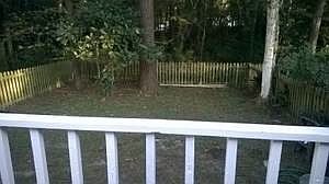 2nd image of 2113 Victory Garden Ln