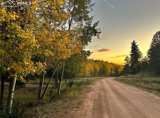 730 Spring Valley Ln, Florissant, CO 80816