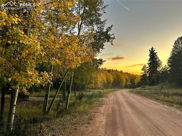 730 Spring Valley Ln, Florissant, CO 80816