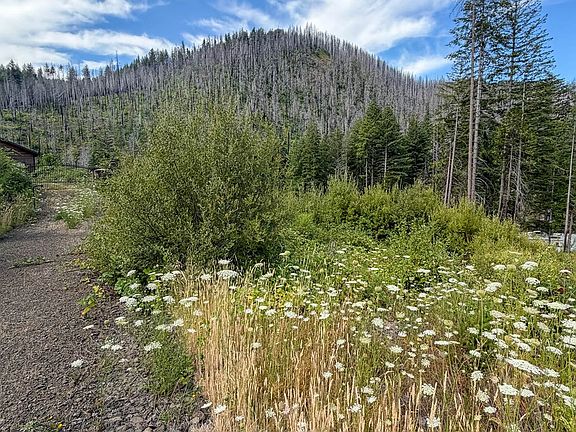 2nd image of 0 Evergreen Ln
