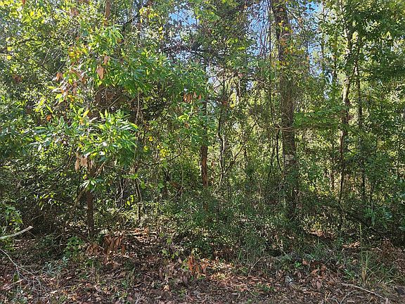 3rd image of SW Spruce Rd