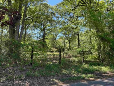 3 Stoney Ln, Gilmer, TX, 75645