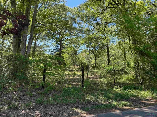 2 Stoney Ln, Gilmer, TX 75645