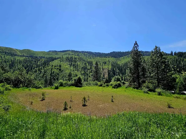 Adams Rd Parcel D, Orofino, ID 83544