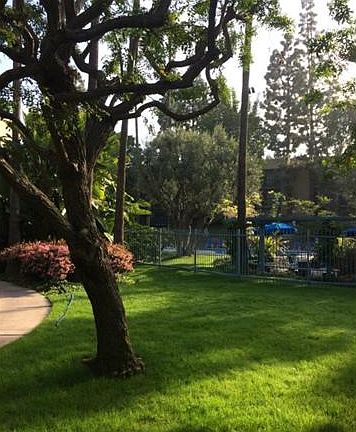 2nd image of 412 N Bellflower Blvd Unit 210