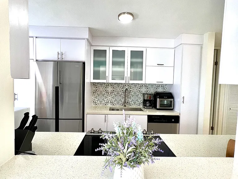 651 Avenue Manuel Fernandez Juncos — Photo 7