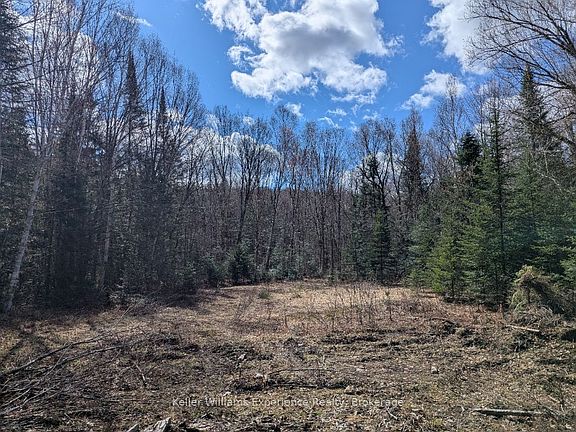 2nd image of 1397 Echo Ridge Rd